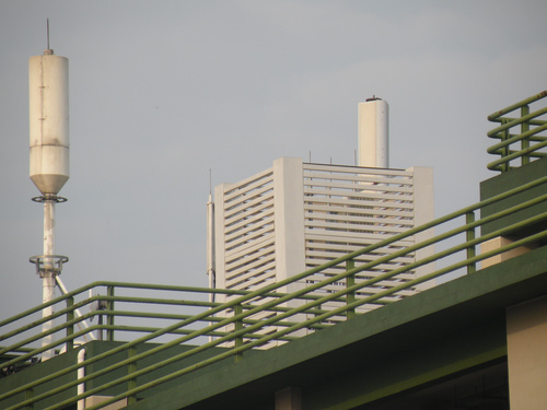 ῵ P80 