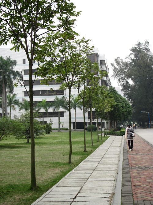  A2100 IS 