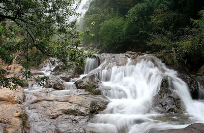 浙江天目山旅遊攻略【相關詞_浙江臨安天目山旅遊】