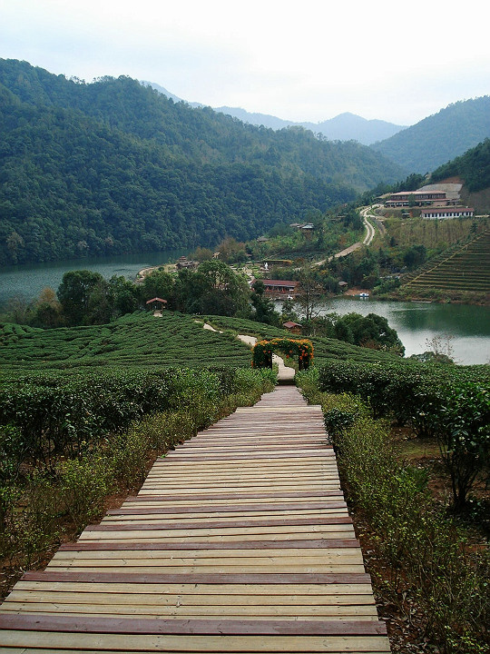 漳平九鹏溪风景区图片图片