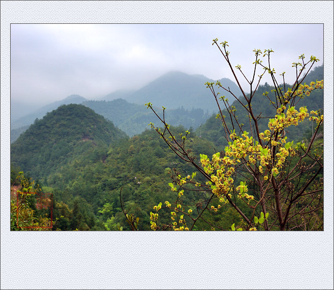 翠峰山春色