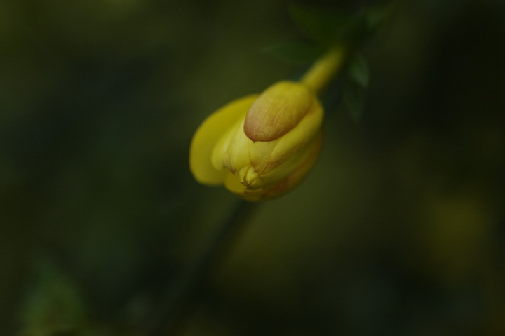 ӭ