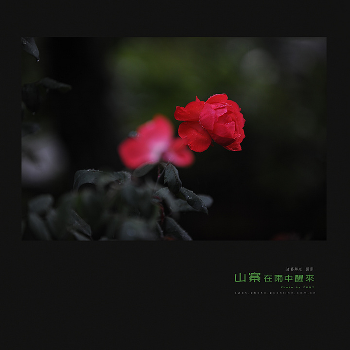 ɽկ