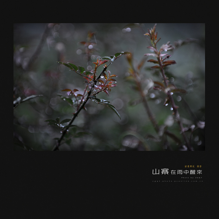 ɽկ