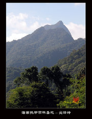 海南热带雨林圣地--尖峰岭