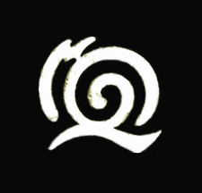 ţ