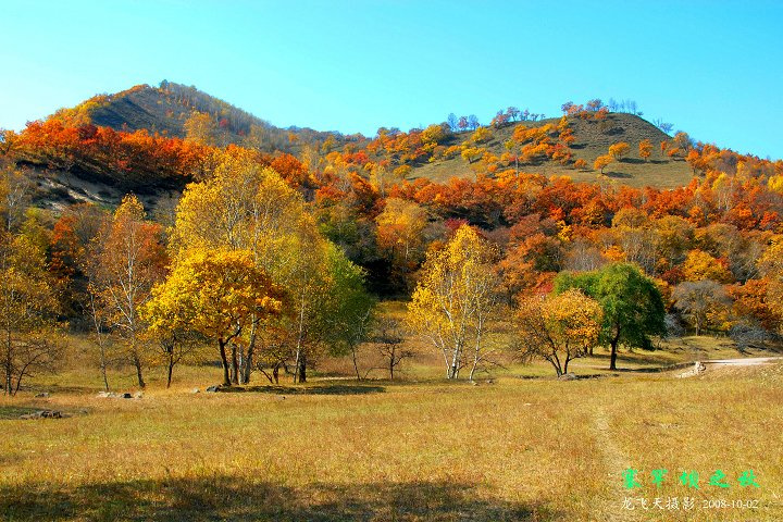 2008Ϸ֮