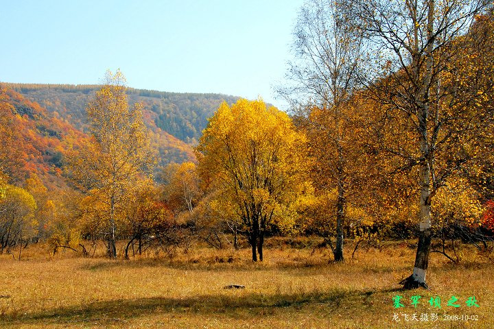 2008Ϸ֮