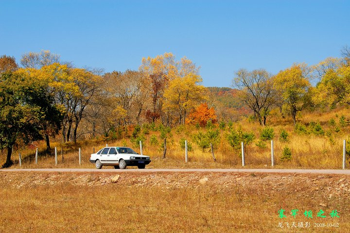 2008Ϸ֮