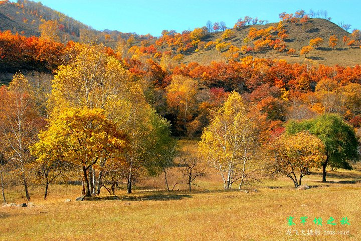 2008Ϸ֮