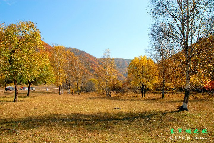 2008Ϸ֮