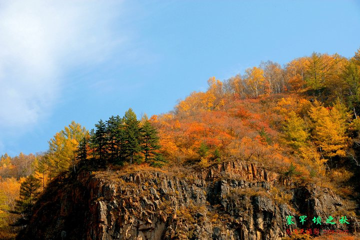 2008Ϸ֮