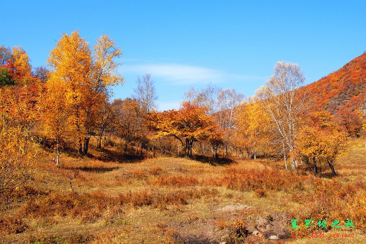 2008Ϸ֮