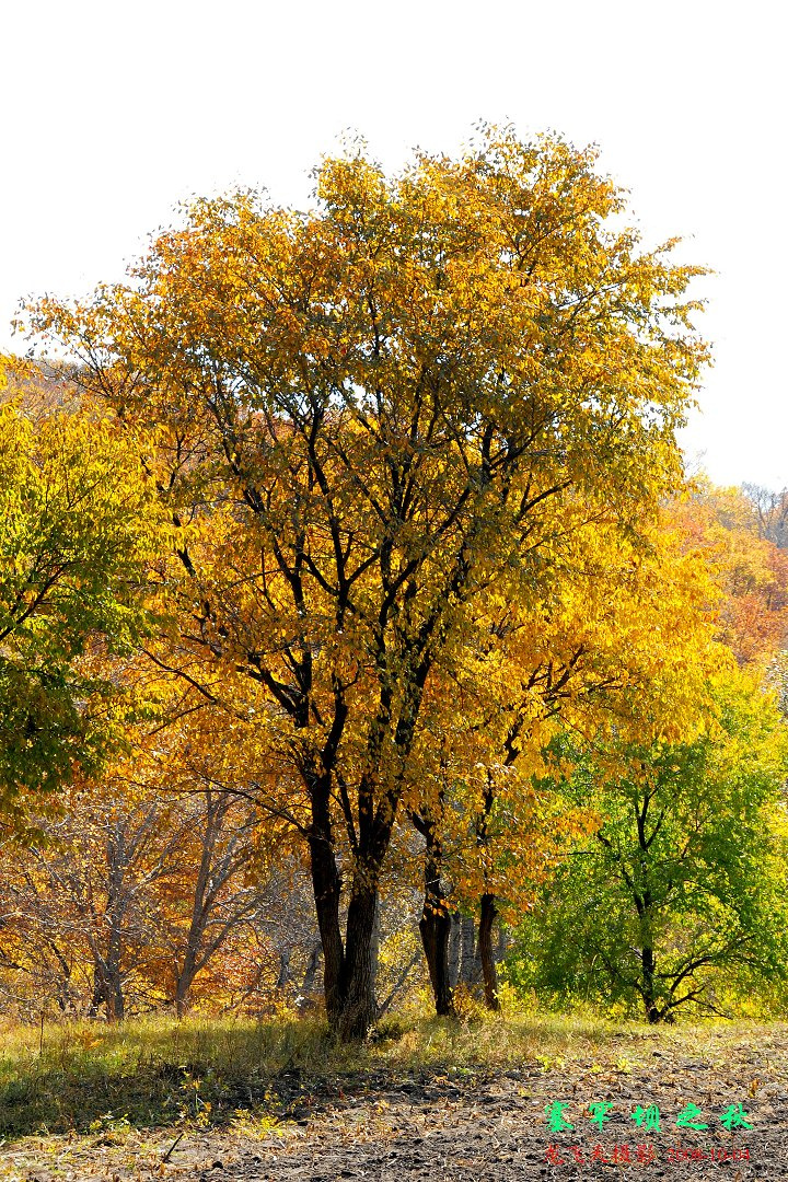 2008Ϸ֮