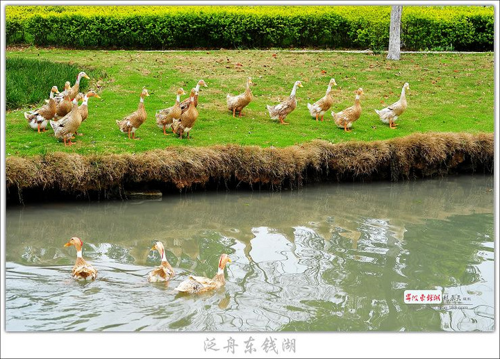 ۶Ǯ