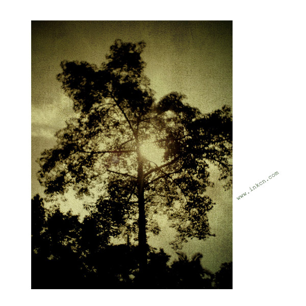 ֻ