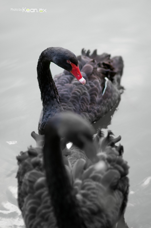 ɫ١