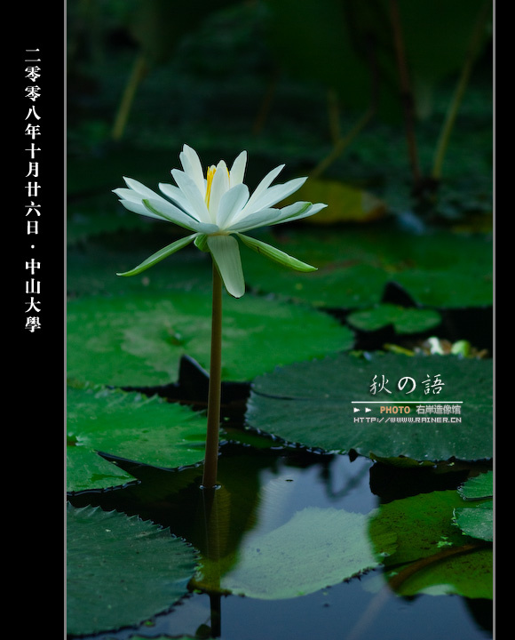 ΢ӽ硤֮֮һ