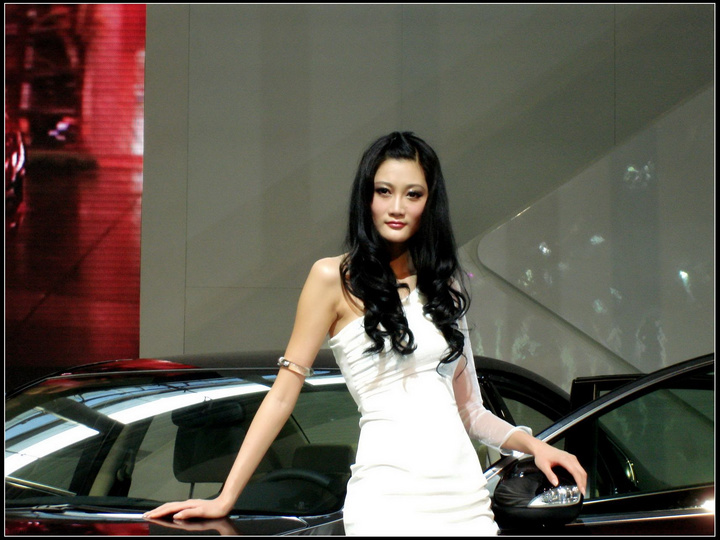 ݹʳչ2008