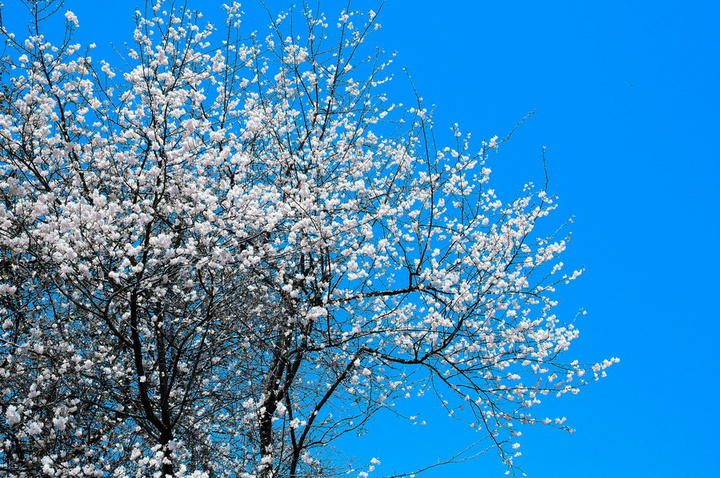 Ұӣ