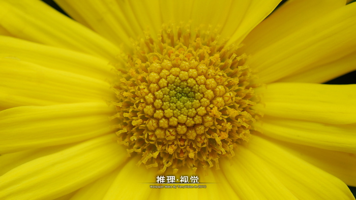 Ⱥޡ2010԰᡿