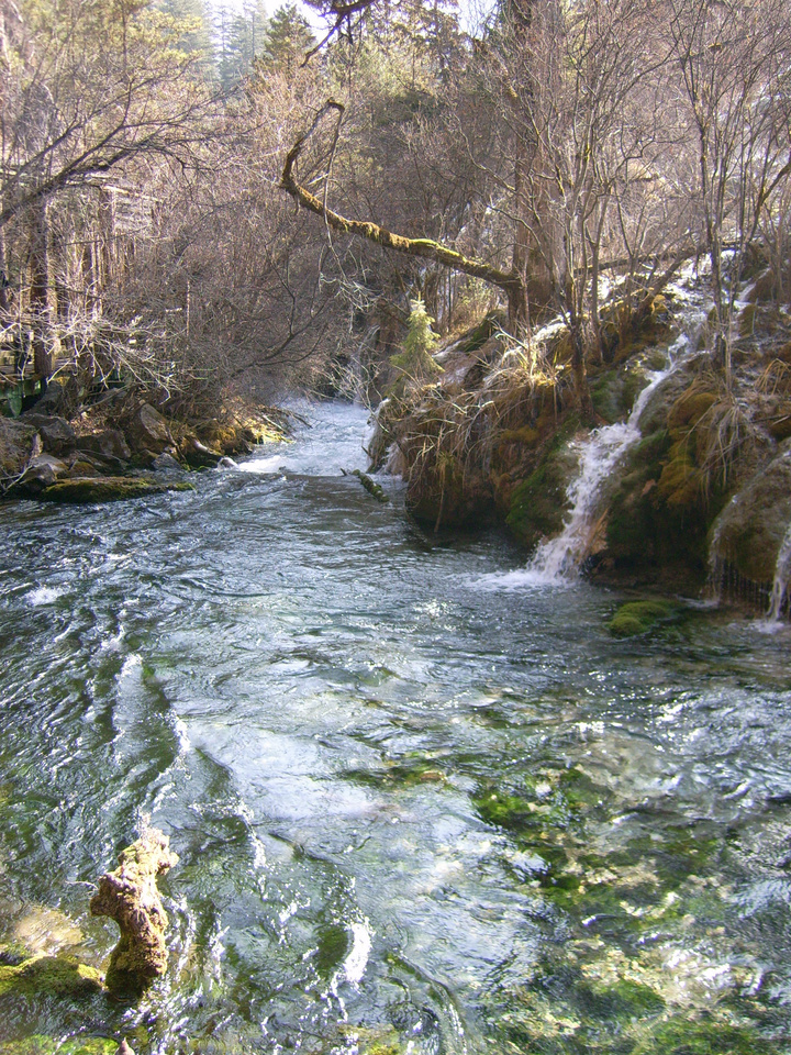 կ