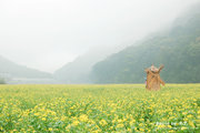 雨暮 石门