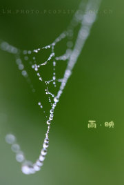 雨·映