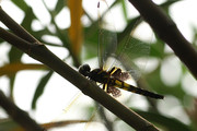 2008꺼ϪʪƬ