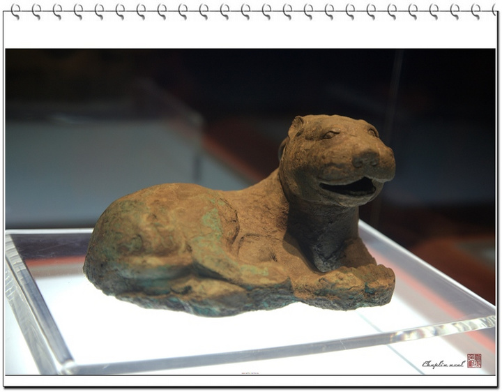 屦ݲݲ()