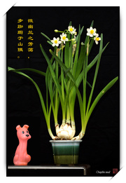 貨ˮ