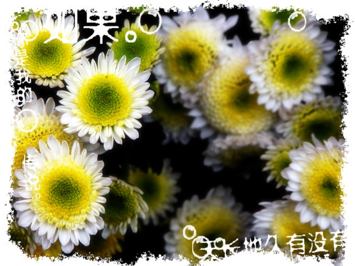 Ӱ˽ר⣩