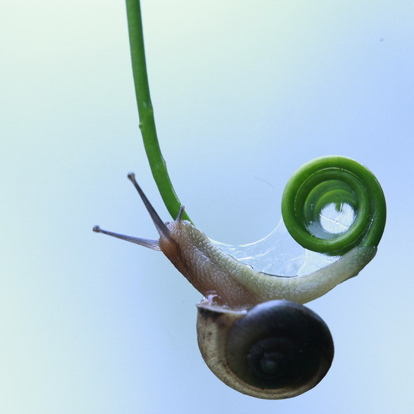 ɡţĹ2