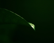 ΢