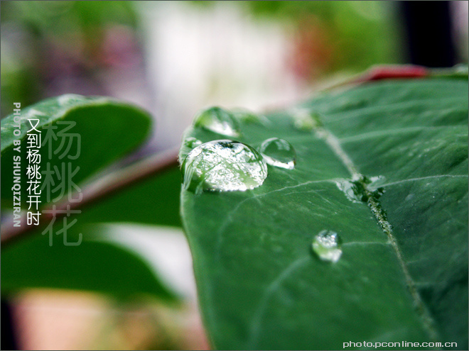 ֵһʱ