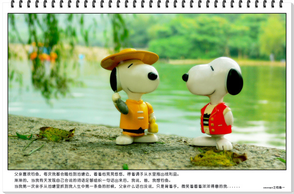 snoopy֮Һҵĸ