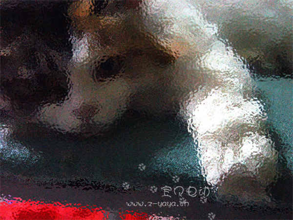 綯è