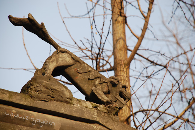 ԺΪǵ2008