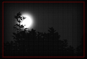 中秋节拍月亮