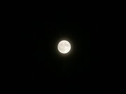 5.31