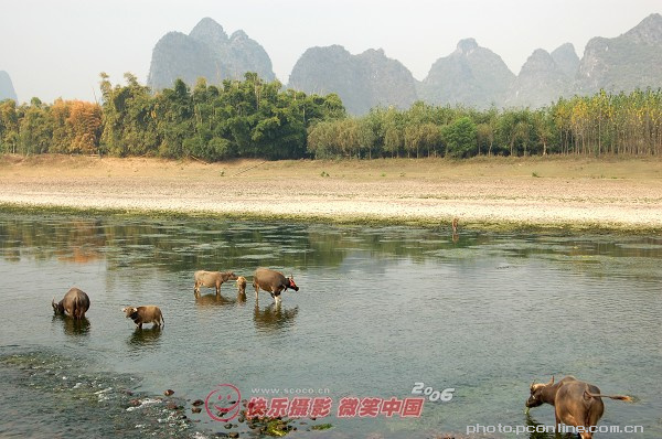 ֡˷֮콭63