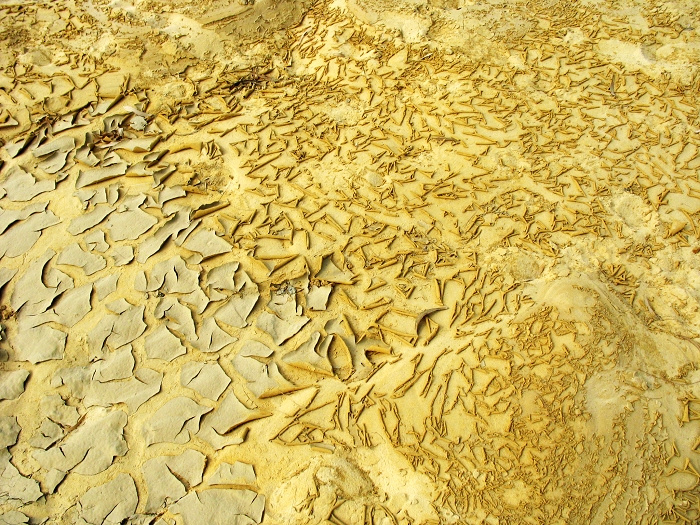 ɳĮ롰ޡ