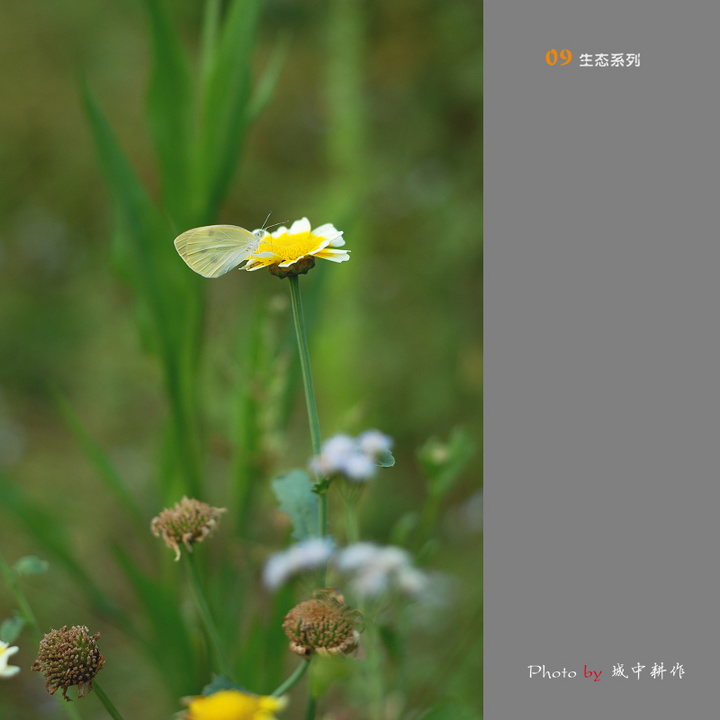 S5PROĻ