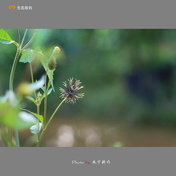 S5PROĻ
