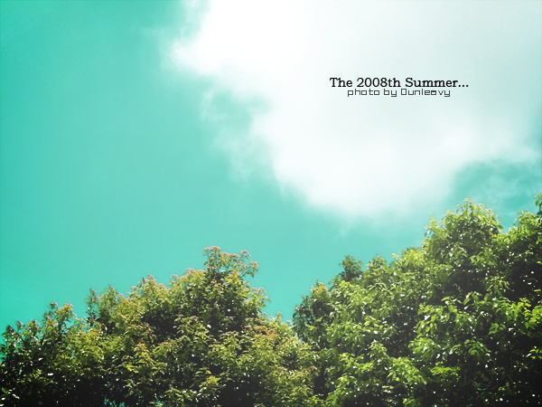 The 2008th Summer