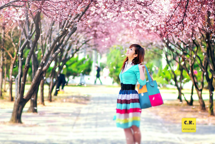 Miss CandyĴ֮
