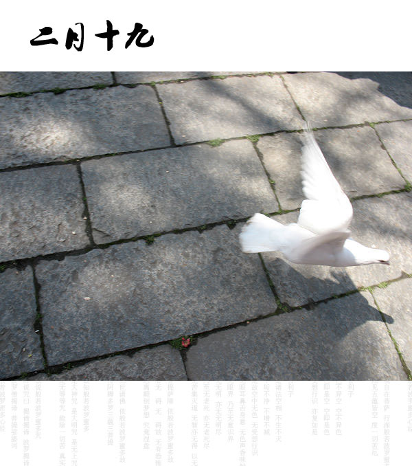 ʮ