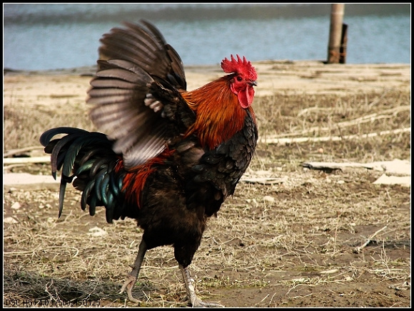 еС