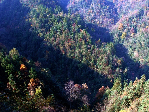 СϪȻ