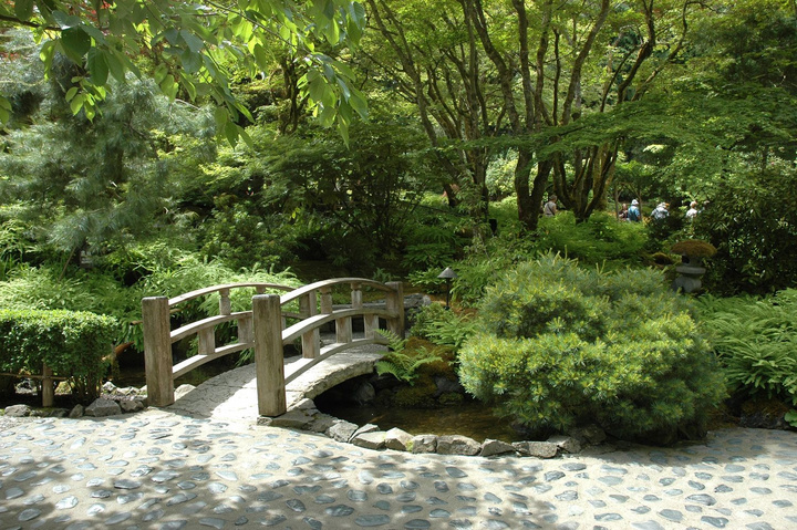 ¸绪仨԰֮-ô֮()